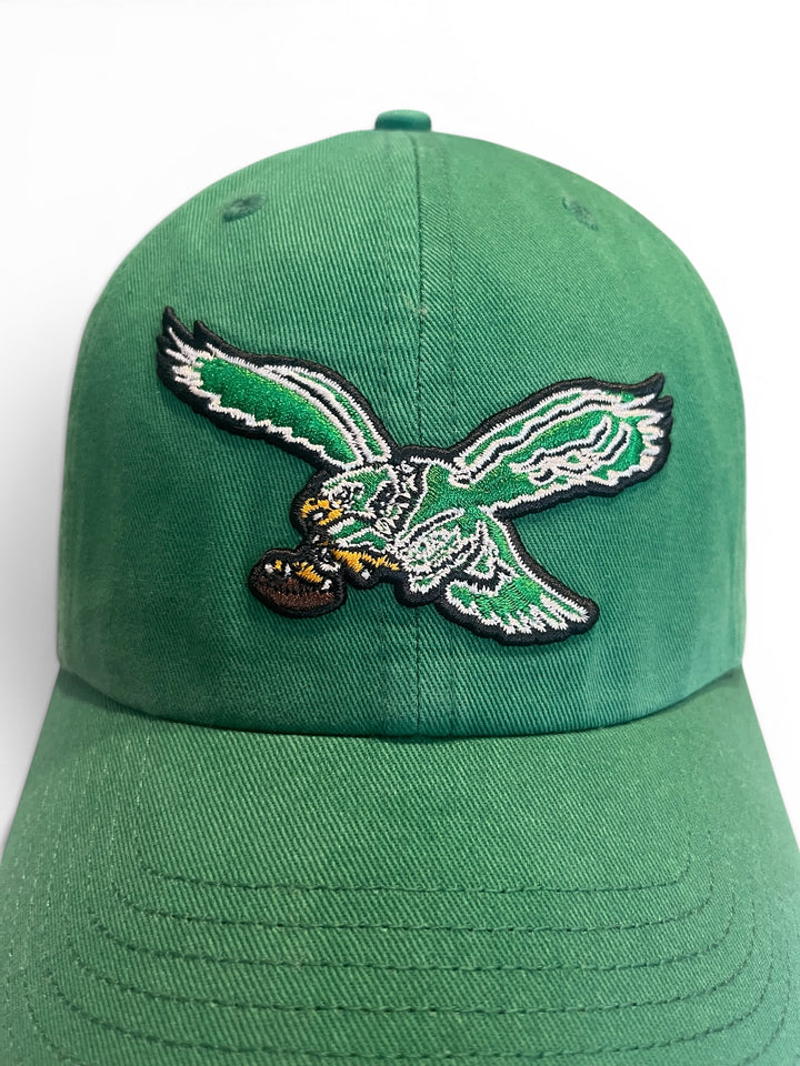 Philadelphia Eagles Historic Kelly Clean Up