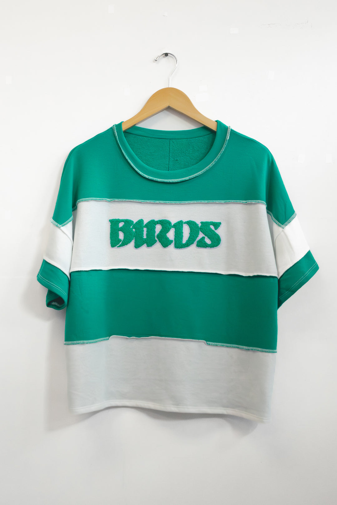 Philly Birds French Terry Color Block Sweatshirt