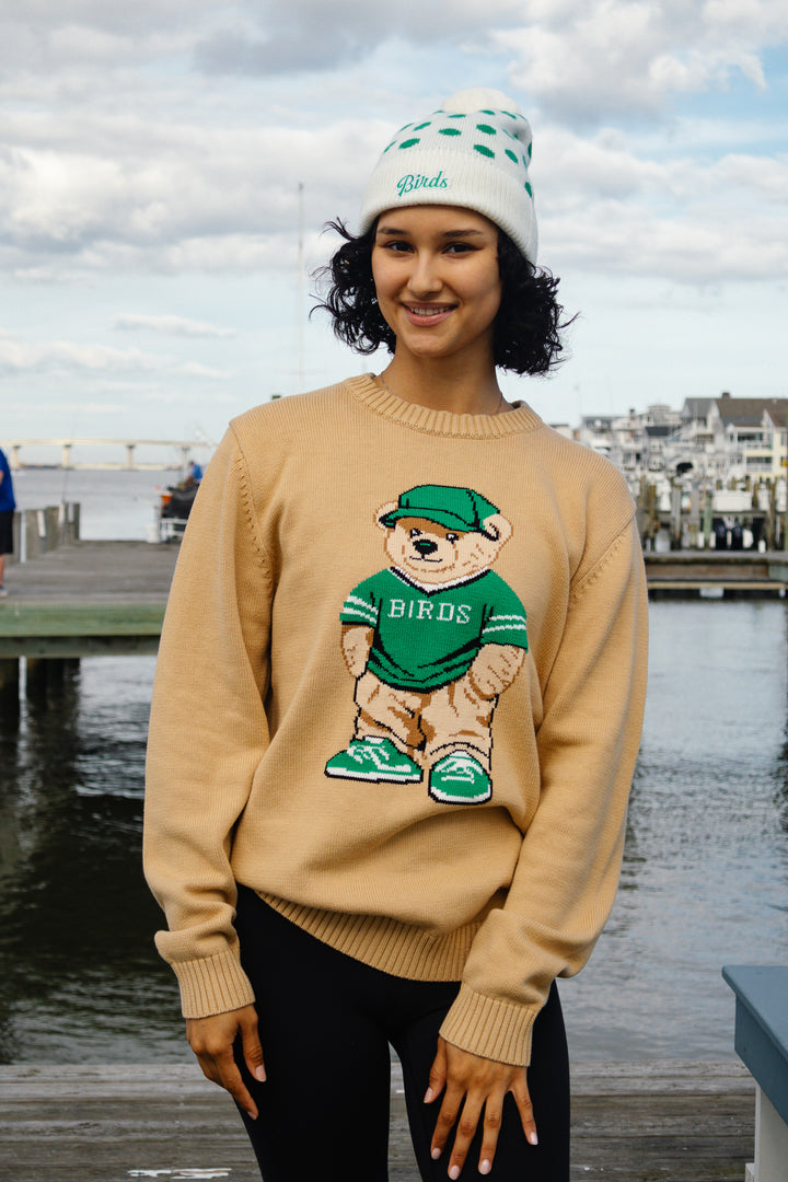 Philly Football Birds Bear Sweater