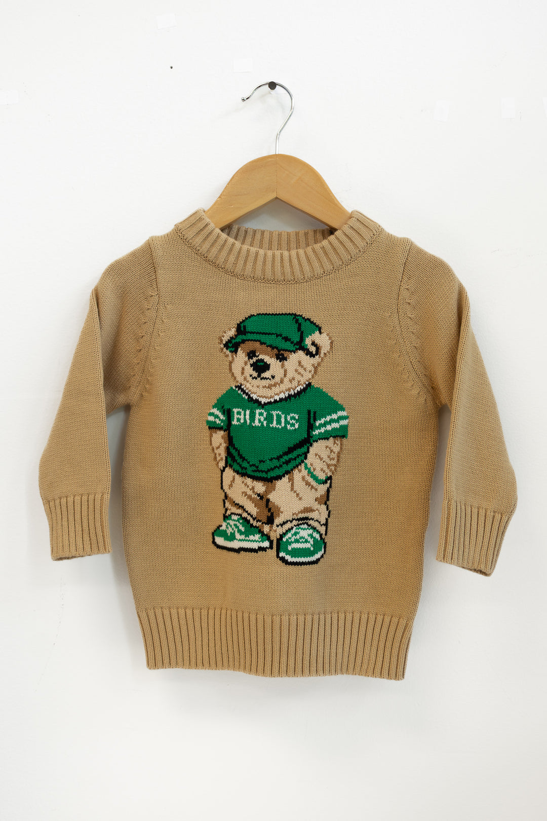 Philly Football Teddy Bear Sweater