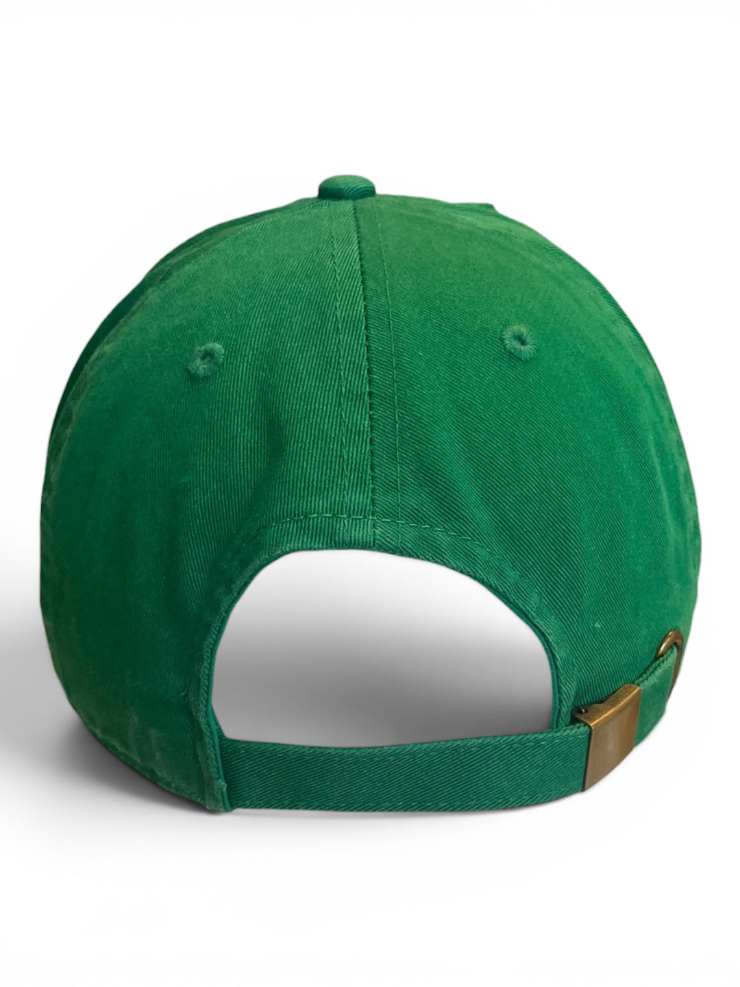 Philly Football Birds Twill Patch Distressed Hat